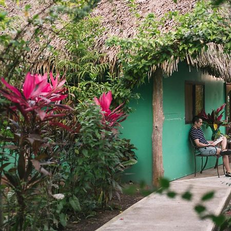Bocawina Rainforest Resort Hopkins Kültér fotó