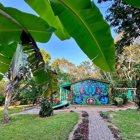 Bocawina Rainforest Resort Hopkins Kültér fotó