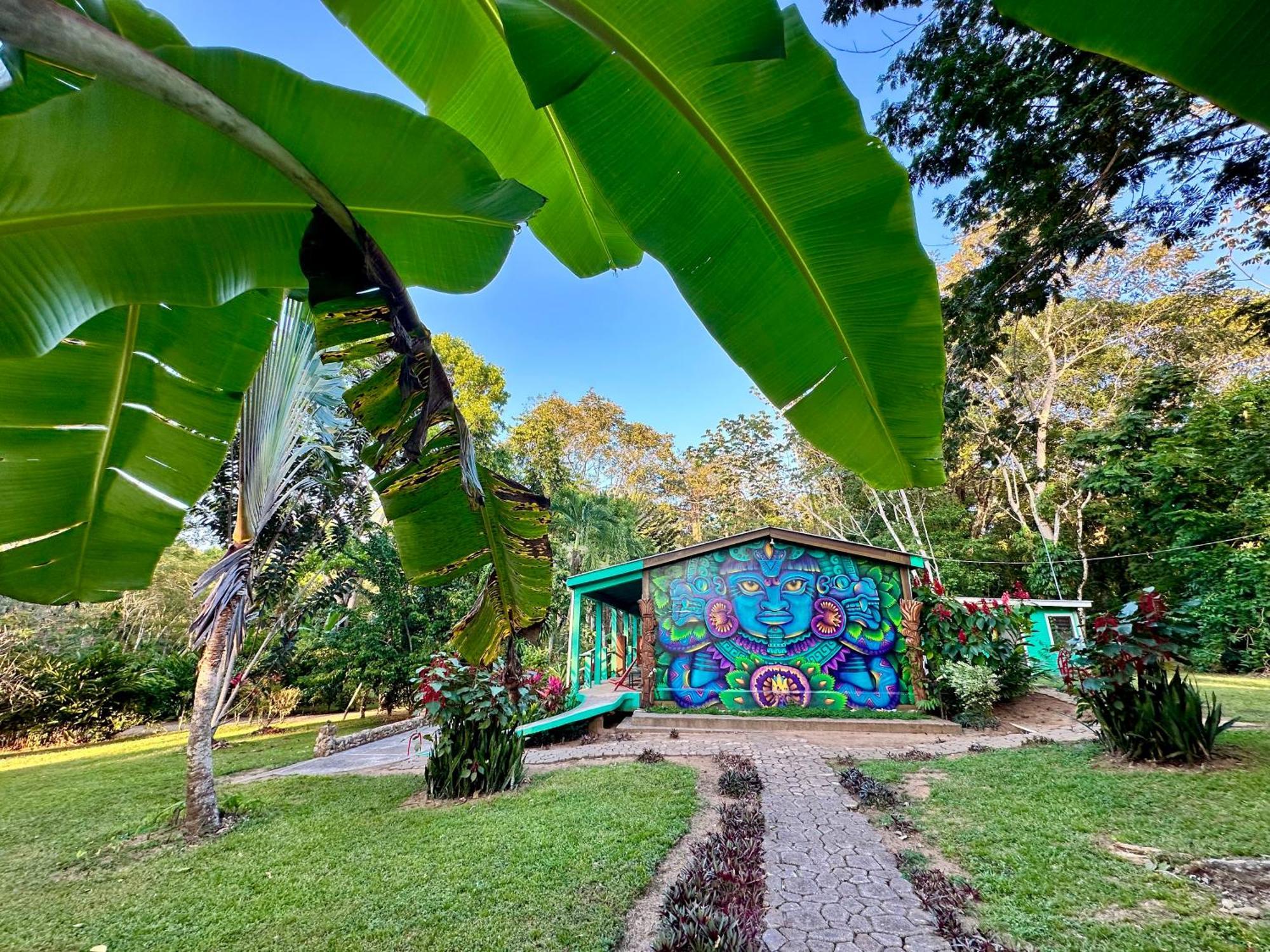 Bocawina Rainforest Resort Hopkins Kültér fotó