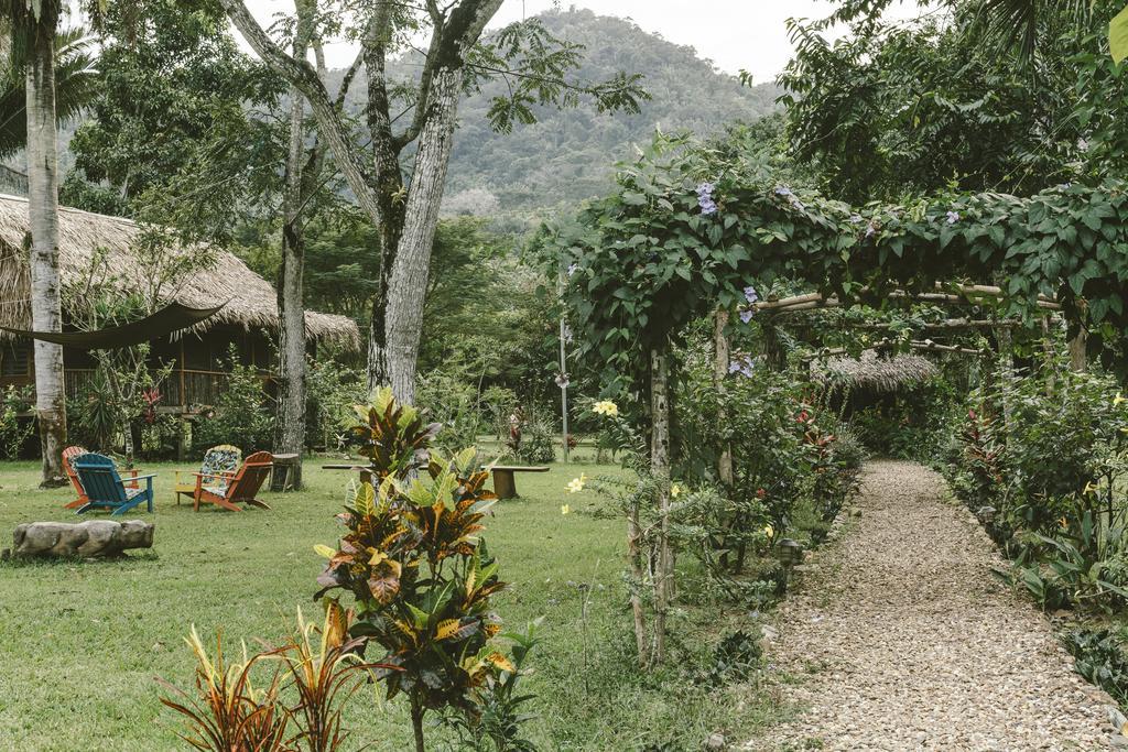 Bocawina Rainforest Resort Hopkins Kültér fotó