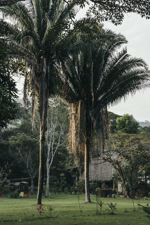 Bocawina Rainforest Resort Hopkins Kültér fotó