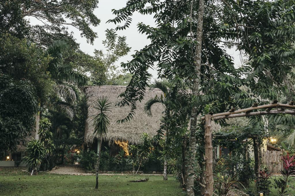 Bocawina Rainforest Resort Hopkins Kültér fotó