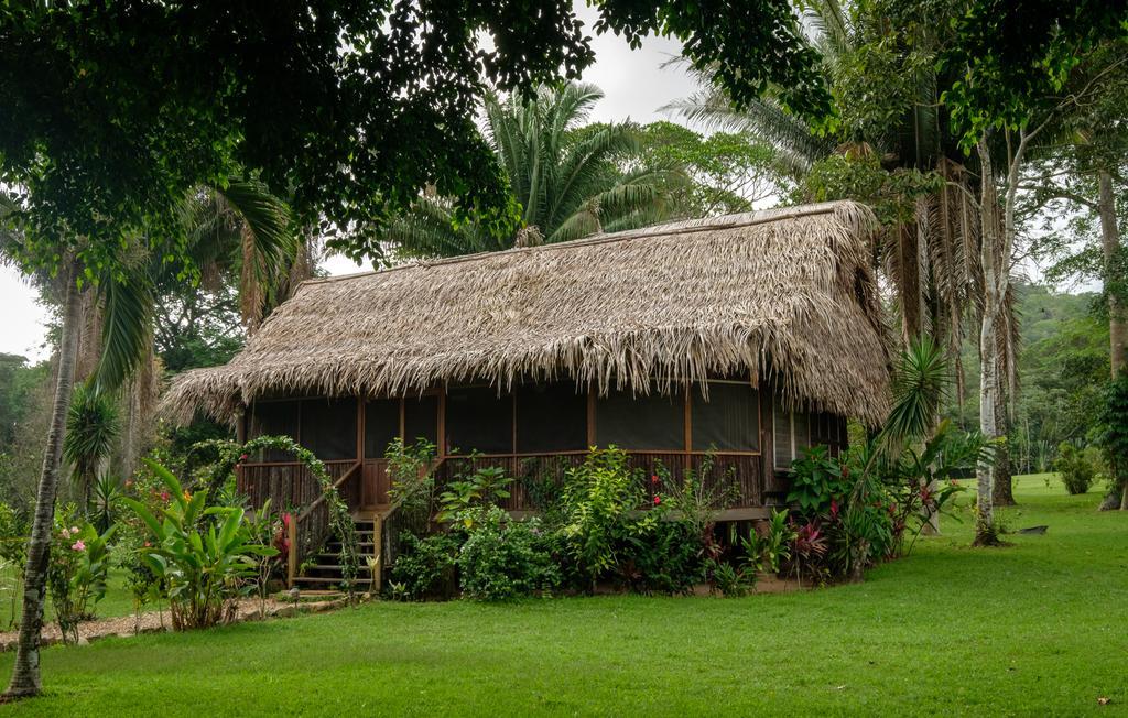 Bocawina Rainforest Resort Hopkins Kültér fotó