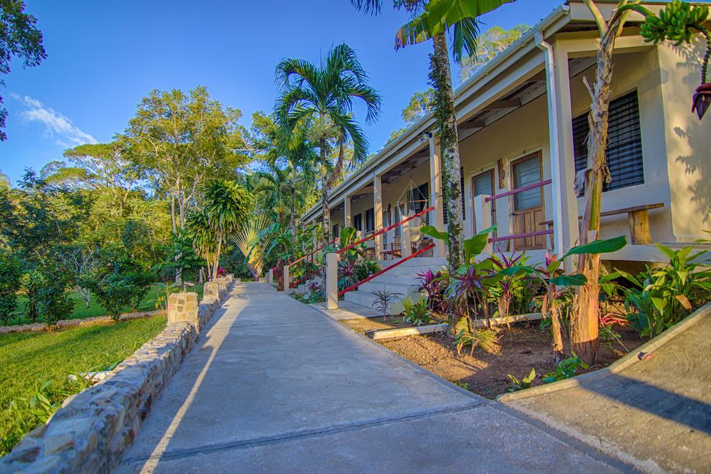 Bocawina Rainforest Resort Hopkins Kültér fotó