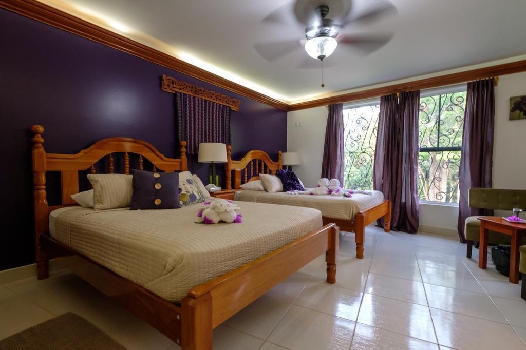 Bocawina Rainforest Resort Hopkins Kültér fotó
