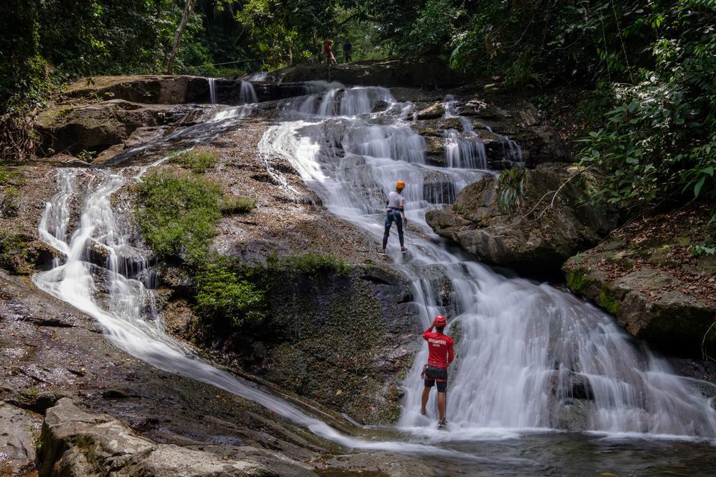Bocawina Rainforest Resort Hopkins Kültér fotó