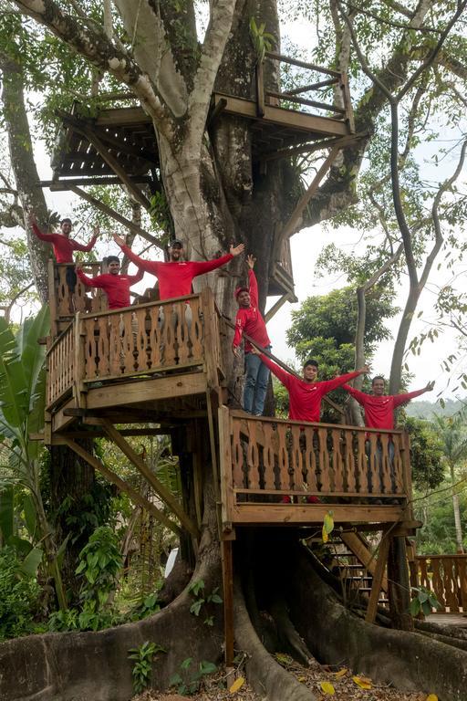 Bocawina Rainforest Resort Hopkins Kültér fotó