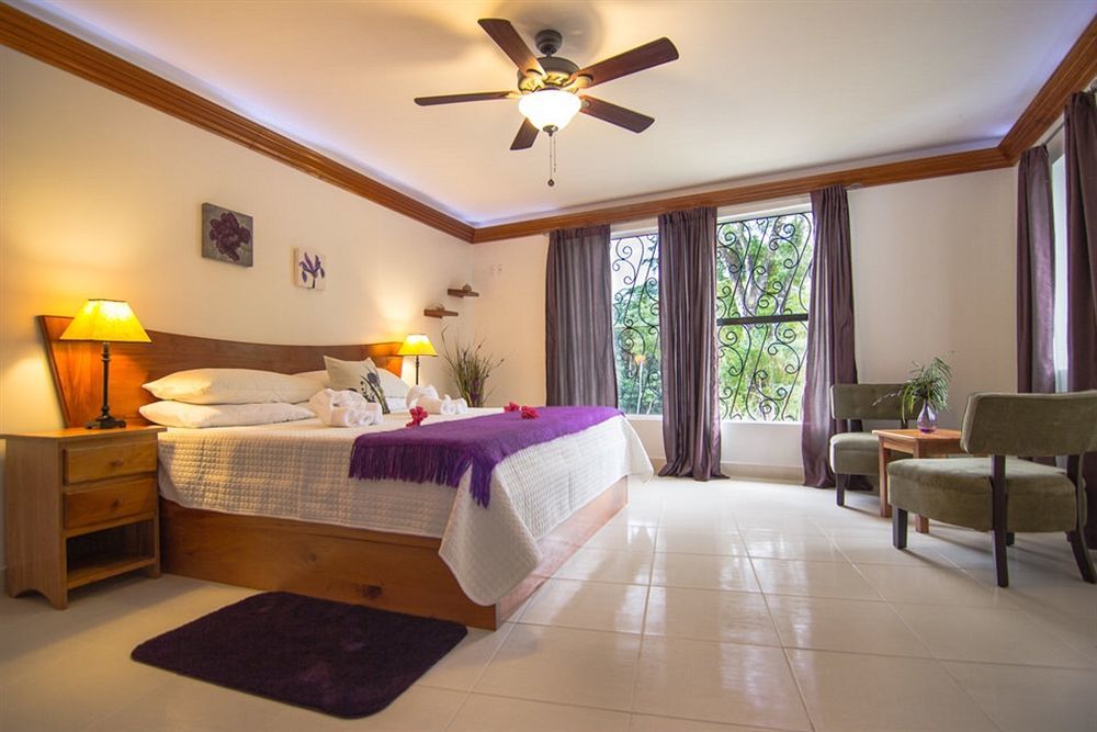 Bocawina Rainforest Resort Hopkins Kültér fotó